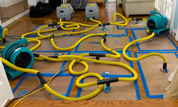 Professional Storm Water Damage Restoration technician working in Iron Ridge, WI
